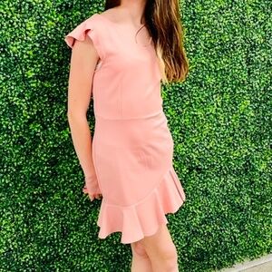 Miss Behave Girls Size 14 Light Pink Fiona Ruffle Dress NEW
